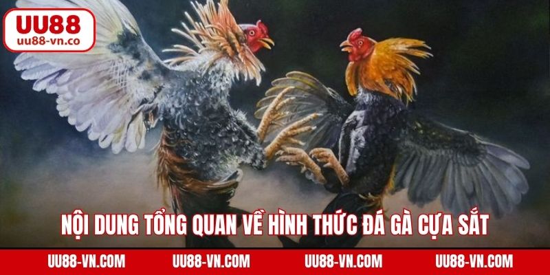Đá Gà Cựa Sắt – Đem Đến Những Trận Đấu Gay Cấn Tại UU88 2 Nội dung tổng quan về hình thức đá gà cựa sắt
