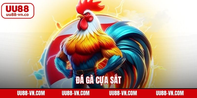 Đá Gà Cựa Sắt – Đem Đến Những Trận Đấu Gay Cấn Tại UU88 1 Đá Gà Cựa Sắt