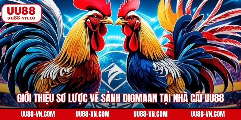 Digmaan Đá Gà - Trải Nghiệm Chọi Kê Đẳng Cấp Quốc Tế Tại UU88 2 Giới thiệu sơ lược về sảnh Digmaan tại nhà cái UU88