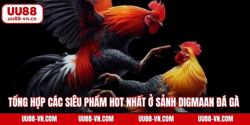 Digmaan Đá Gà - Trải Nghiệm Chọi Kê Đẳng Cấp Quốc Tế Tại UU88 3 Tổng hợp các siêu phẩm hot nhất ở sảnh Digmaan đá gà