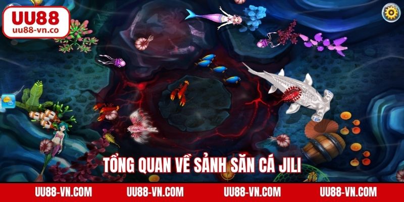 Tổng quan về sảnh săn cá Jili