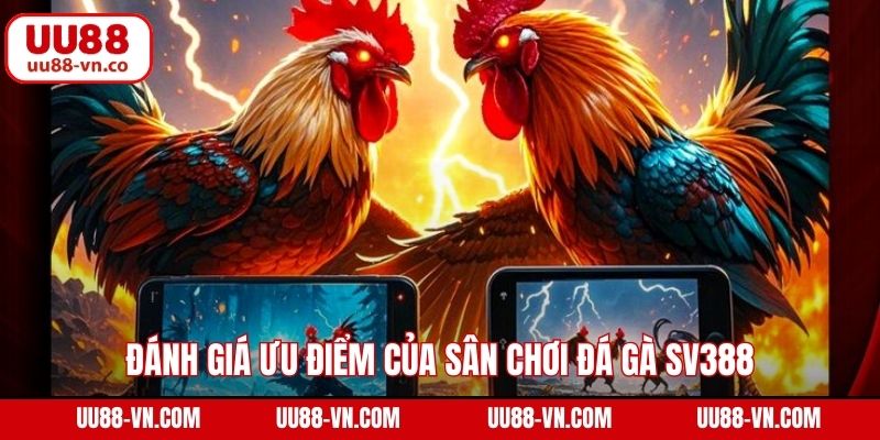 SV388 Đá Gà - Sảnh Cá Cược Đẳng Cấp Số 1 Tại UU88 3 Đánh giá ưu điểm của sân chơi đá gà SV388