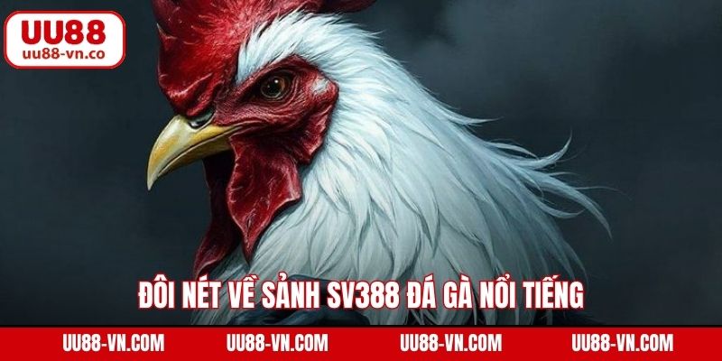 SV388 Đá Gà - Sảnh Cá Cược Đẳng Cấp Số 1 Tại UU88 2 Đôi nét về sảnh SV388 đá gà nổi tiếng