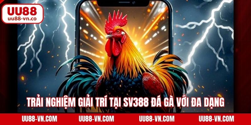 SV388 Đá Gà - Sảnh Cá Cược Đẳng Cấp Số 1 Tại UU88 4 Trải nghiệm giải trí tại SV388 đá gà với đa dạng hình thức
