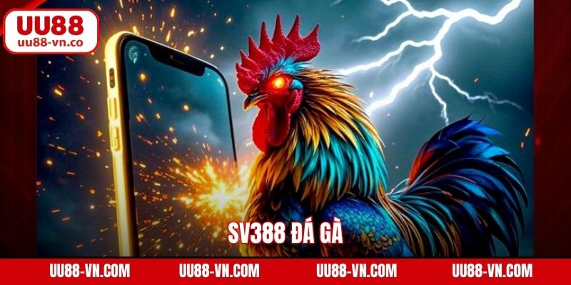SV388 Đá Gà - Sảnh Cá Cược Đẳng Cấp Số 1 Tại UU88 1 SV388 Đá Gà