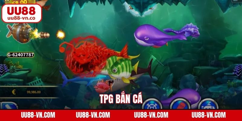 TPG Bắn Cá