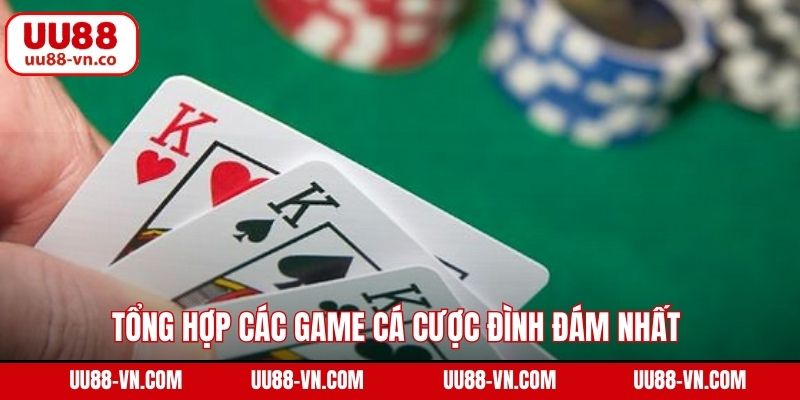 Tổng hợp các game cá cược đình đám nhất poker game bài